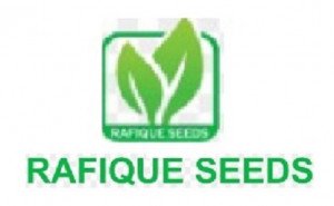 Rafique Seeds